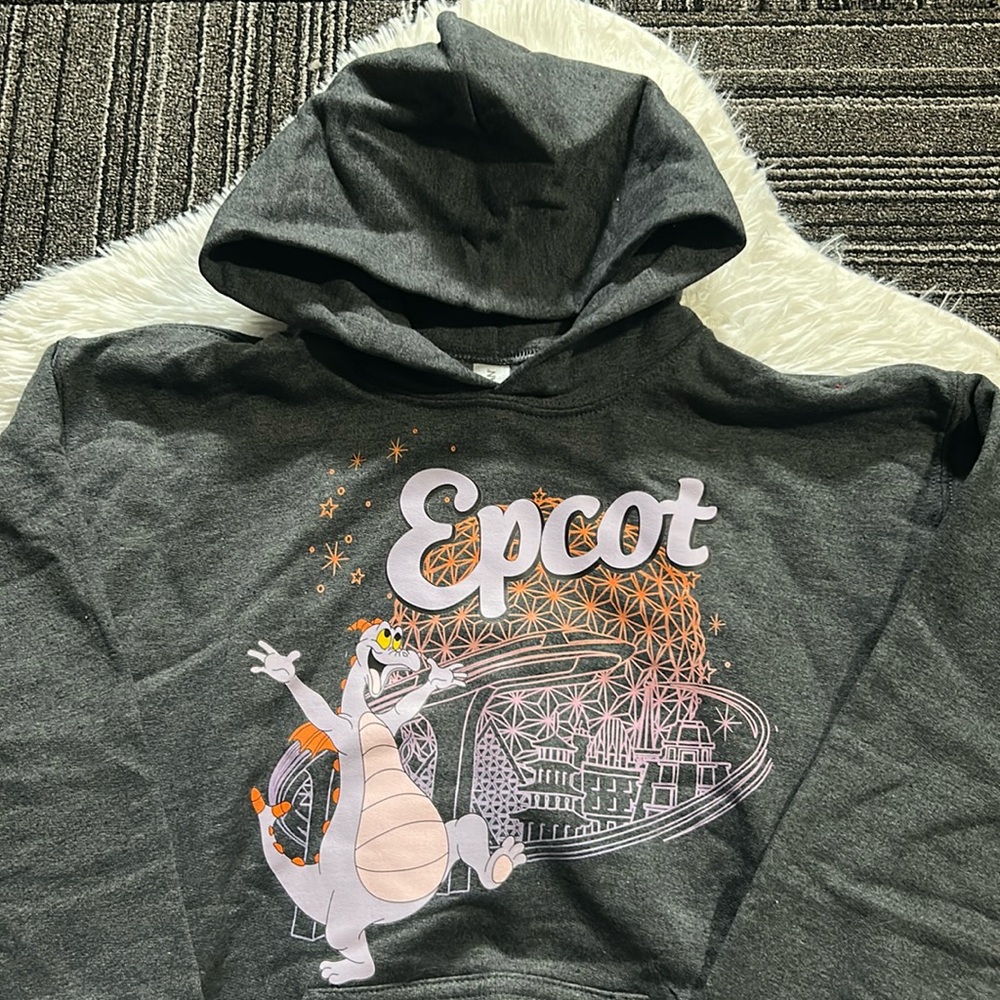 Disney Epcot Pullover Hoodie with Figment Graphic Charcoal Gray Kids Size Large - Picture 4 of 11